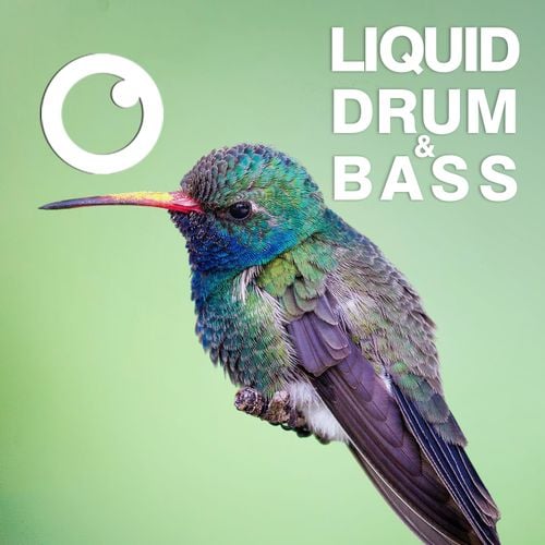 Dreazz: Liquid Drum & Bass Sessions 45 (June 2021)