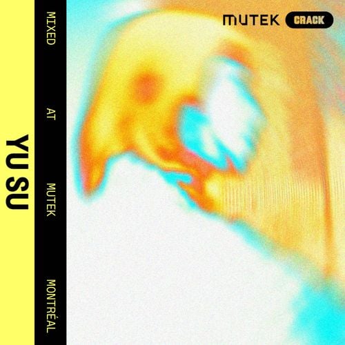 Mixed at MUTEK Montréal: Yu Su
