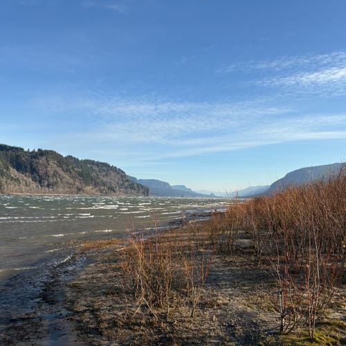 Optic Echo Presents Best Vinyl of 2025