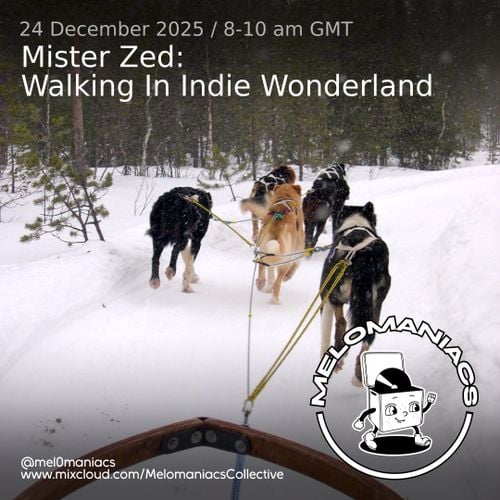 Melomaniacs // Mister Zed: Walking In Indie Wonderland// Melomaniacs Live