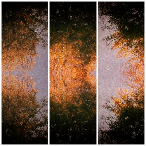 The Power of Memory by Altus