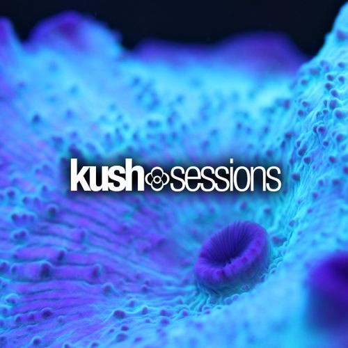 Download KushSessions - #006 Liquid Love (Liquid Drum & Bass Mix 2021) mp3