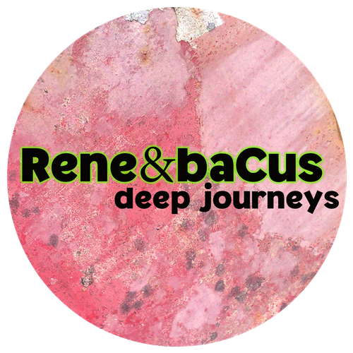 Rene & Bacus - VOL 323 - ALL IN THE GROOVE (PT 3) (AUG 2025)