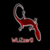 dj_wlizzard