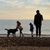 Midlife Niceness