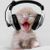 DJ Chris Hawkins