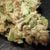 GAS_SMOKER