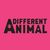 A Different Animal
