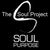 The s0ul Project