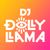 DJ Dolly Llama