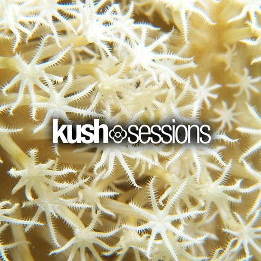 KushSessions - #009 Liquid Love (Liquid Drum & Bass Mix 2021)