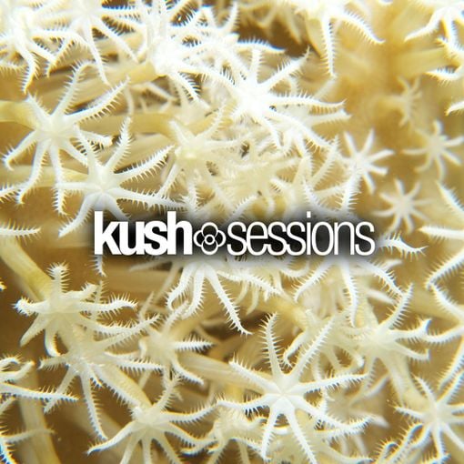 Download KushSessions - #009 Liquid Love (Liquid Drum & Bass Mix 2021) mp3