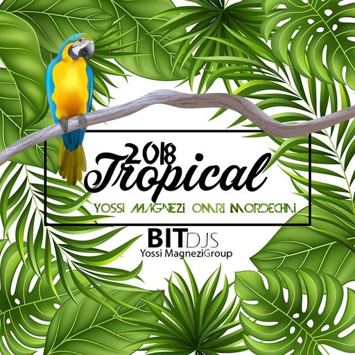 Tropical House 2018 - Yossi Magnezi & Omri Mordechai Bit Djs