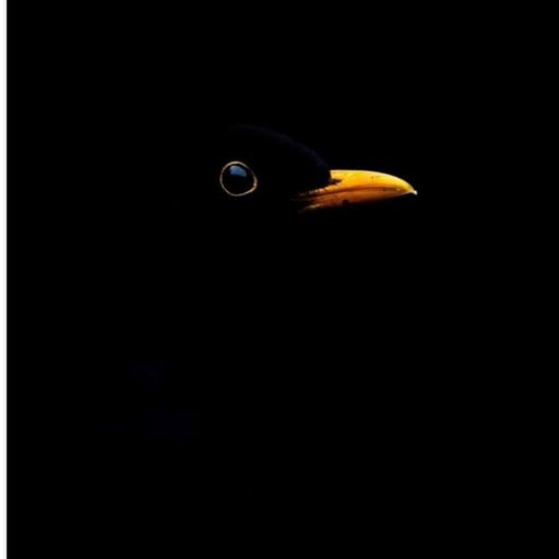 Steve Lewis an hour of Funky soulfulness 24th oct 24