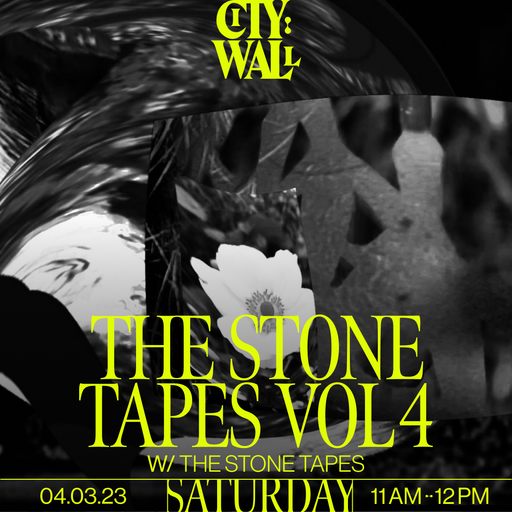 The Stone Tapes Vol. 4 w/ The Stone Tapes - 04/03/2023