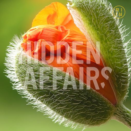 ++ HIDDEN AFFAIRS | mixtape 1805 ++