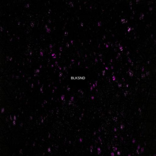 Dspace w/ blacksand - 12.11.25