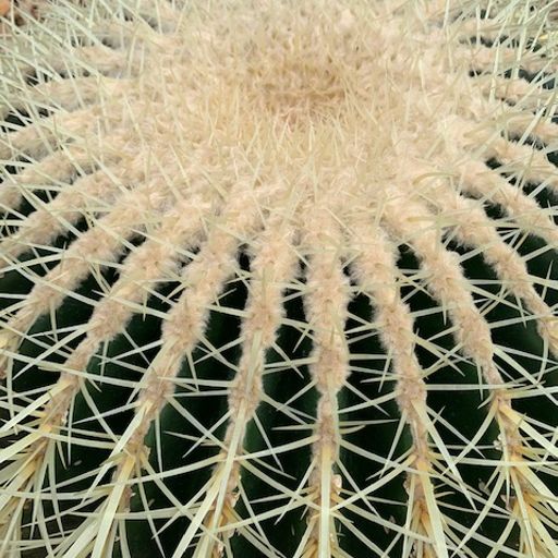 Versatile Sounds 04.07.23