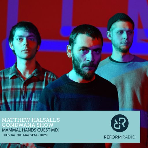 Matthew Halsall's Gondwana Show Mammal Hands Guest Mix
