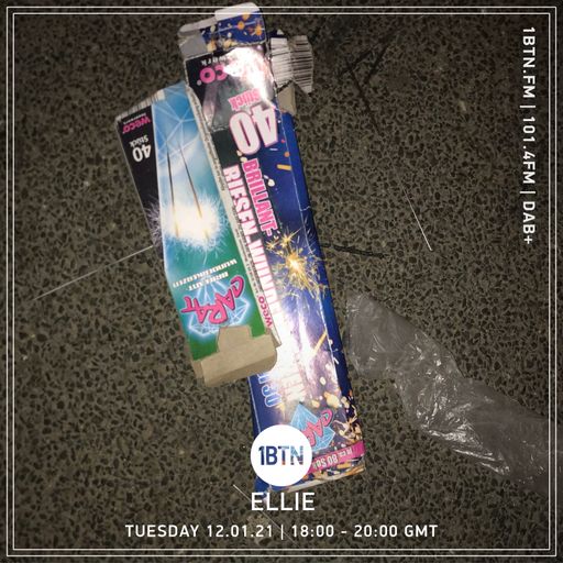 Ellie - 12.01.2021