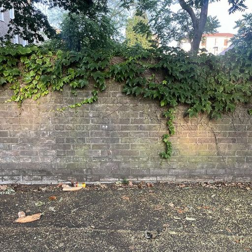 The Early Bird Show w/ Spirit Blue - 25th June 2025