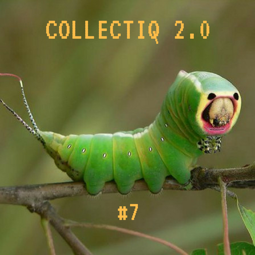 Collectiq 2.0 #7: Kasap