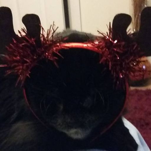 GASP - Xmas day special!