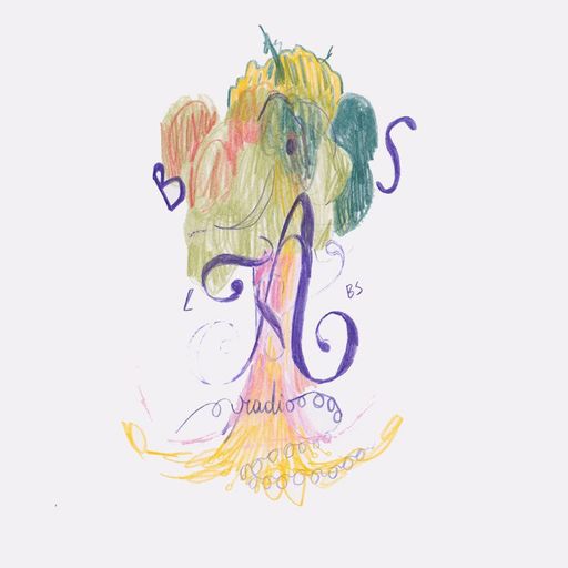 Radio Boslabs for WAV | 23-04-25