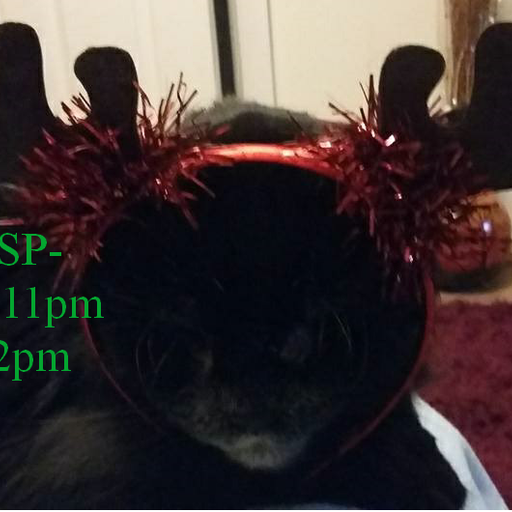 GASP - Xmas Eve!