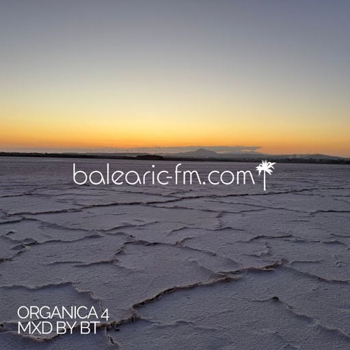 Organic Mix (004) (BigT)