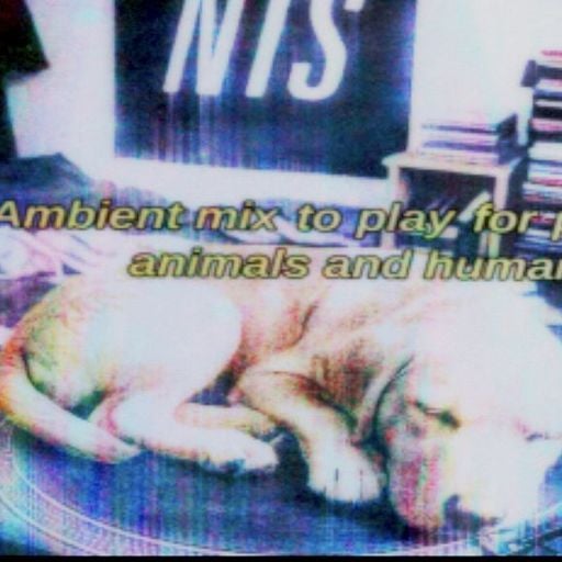 Mild Animals - 9th May 2025