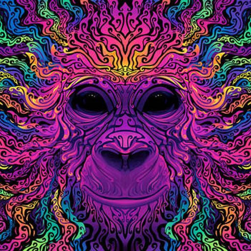 Sunday Delight by Segu