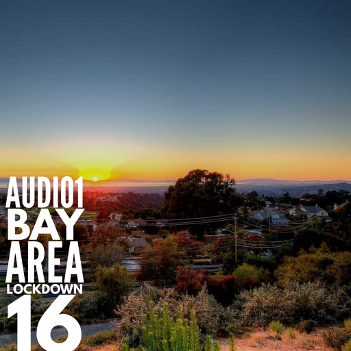 BAY AREA LOCKDOWN 16
