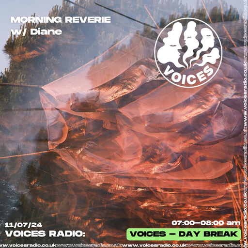 Morning Reverie w/ Diane 11/04/24 - Voices Radio