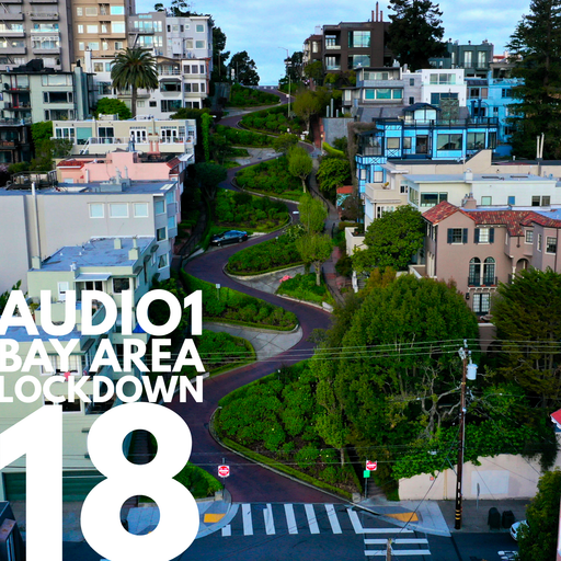 BAY AREA LOCKDOWN 18
