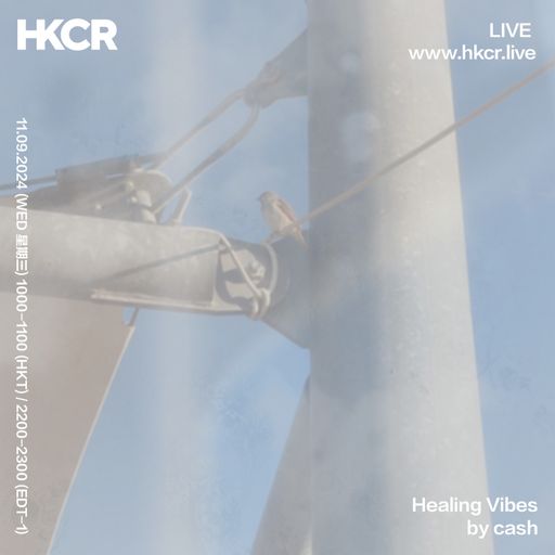 Healing Vibes by cash - 11/09/24