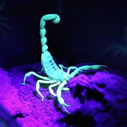 Debba w/ Stin9 - 26/08/22