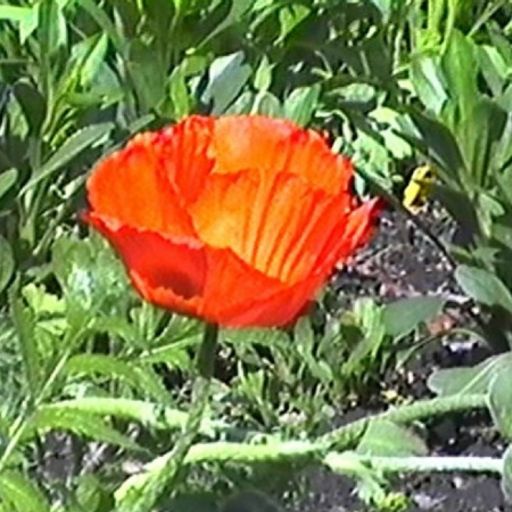 VOLATILE STATES 03/02/25