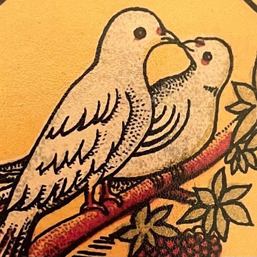 Explorations w/ Digging in India  - 26th November 2025