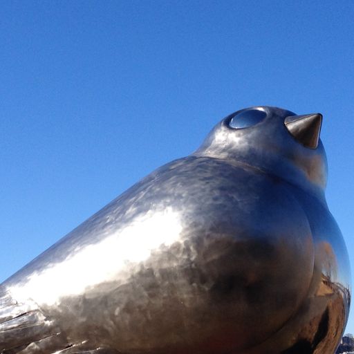 Every bird that goes by gets me high (Eclectic Playlist Series, 3.05)