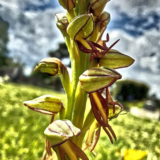 Little Sunday bass n bounce (19/05/24)