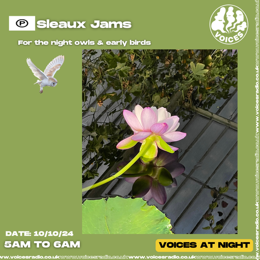 Sleaux Jams 10/10/24 - [Voices Radio]