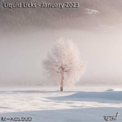 Liquid Licks - January 2023