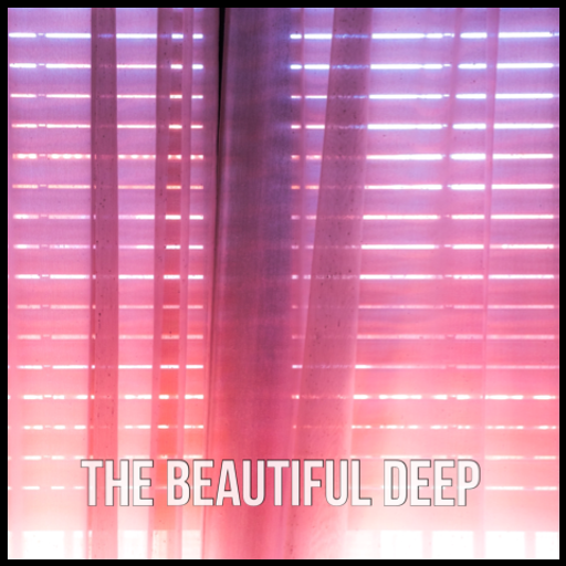 The Beautiful Deep w/ Andrew Medlock - 27.05.23