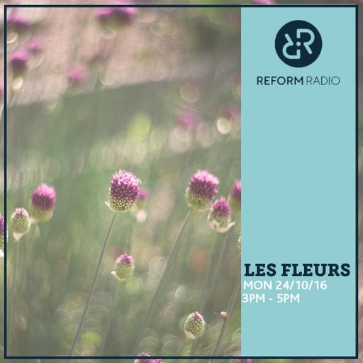 Les Fleurs 24th October 2016