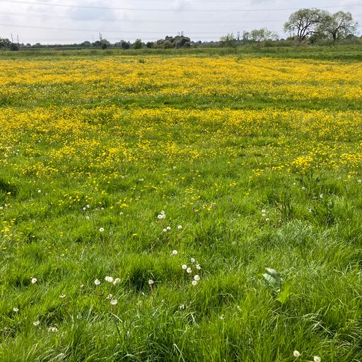 Be More Well - 26/04/25 [Voices Radio]