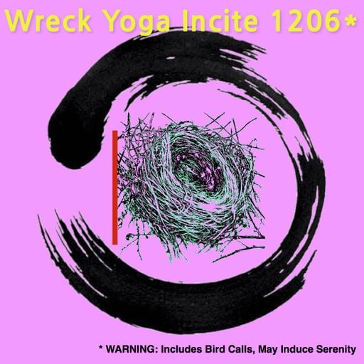 Wreck Yoga Incite 1206