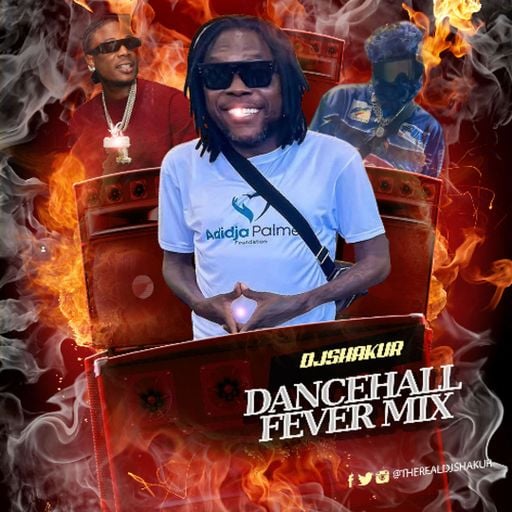 Dancehall Mix 2025, Dancehall Fever, Winter Steam Ft Shawn Storm, Alkaline, Intence, Prince Swanny