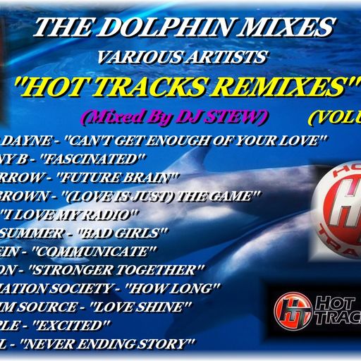 THE DOLPHIN MIXES - VARIOUS ARTISTS - ''HOT TRACKS REMIXES'' (VOLUME 13)