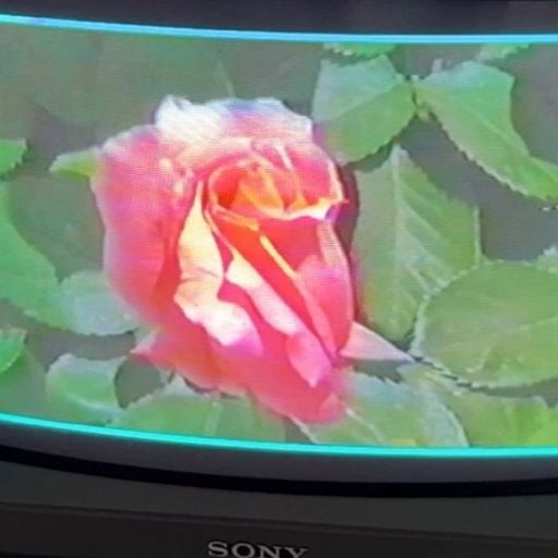 Gassy w/ Khotin - 13th October 2025